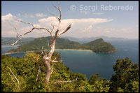 View from the top of the tallest mountain on the island of Pangulasian. Palawan.